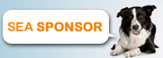 Sponsors