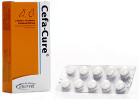 Where can i buy stromectol in south africa Where can i buy stromectol in south africa