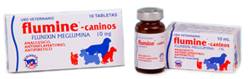 FLUMINE CANINOS