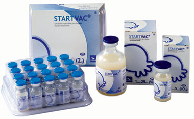 STARTVAC