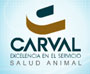 CARVAL DE COLOMBIA