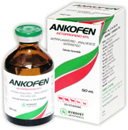 ANKOFEN