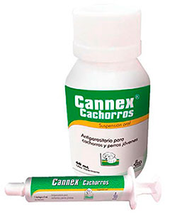CANNEX CACHORROS