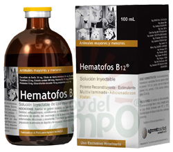 HEMATOFOS B12