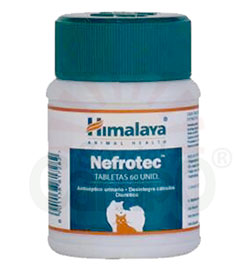 NEFROTEC