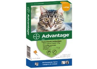 ADVANTAGE GATOS