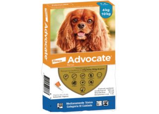 ADVOCATE PARA PERROS