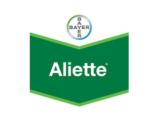 ALIETTE