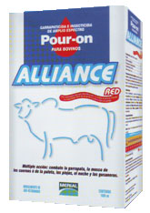 ALLIANCE POUR ON