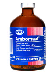 AMBOMAST