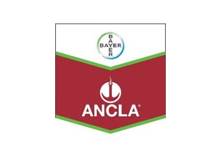 ANCLA