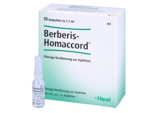 BERBERIS HOMACCORD