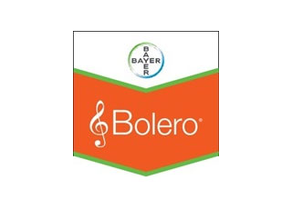 BOLERO