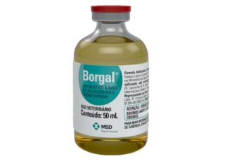 BORGAL 24%