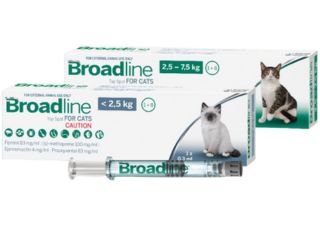 BROADLINE