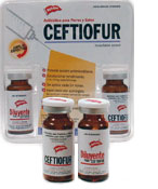 CEFTIOFUR