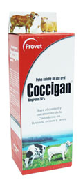 COCCIGAN POLVO