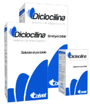 DICLOCILINA