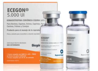 ECEGON