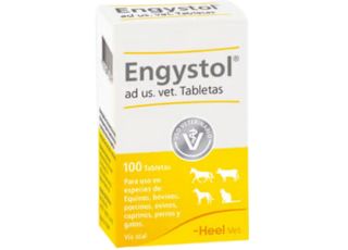 ENGYSTOL