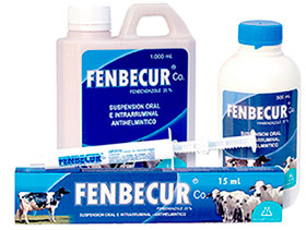 FENBECUR CO