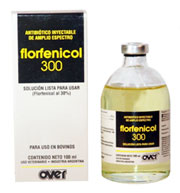 FLORFENICOL 300