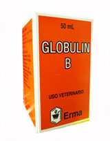 GLOBULIN B