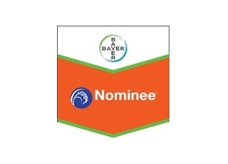 NOMINEE