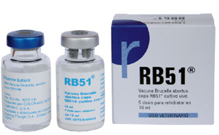 VACUNA RB51