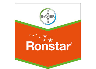 RONSTAR