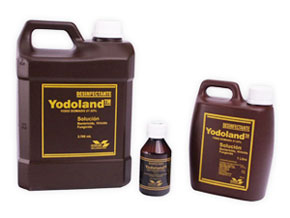 YODOLAND TM